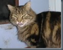 Smokey - another favourite